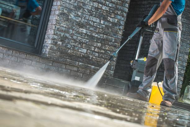 Best Roof Washing  in Chisholm, MN