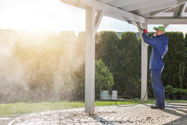 Best Dumpster Area Cleaning  in Chisholm, MN