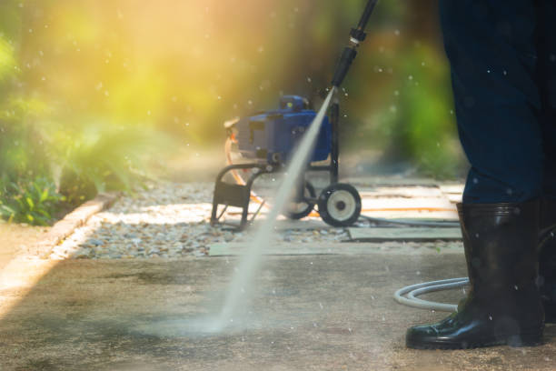 Best Animal Enclosure Cleaning  in Chisholm, MN